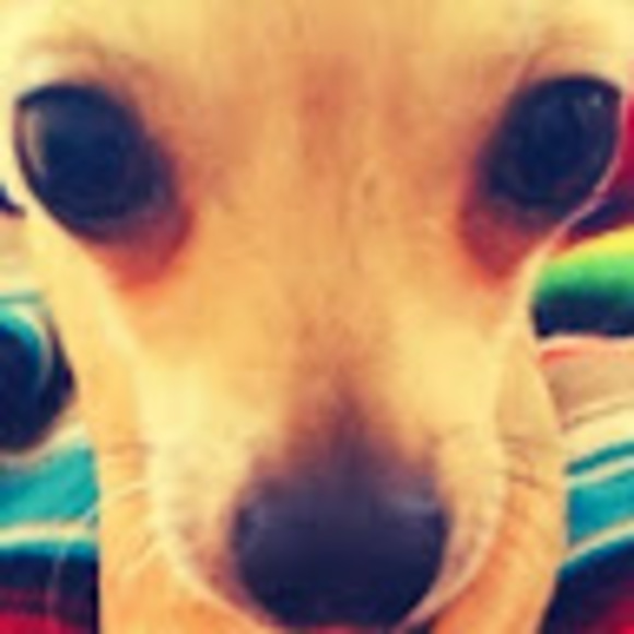 Meet your Posher, Trinity - Picture 1 of 1